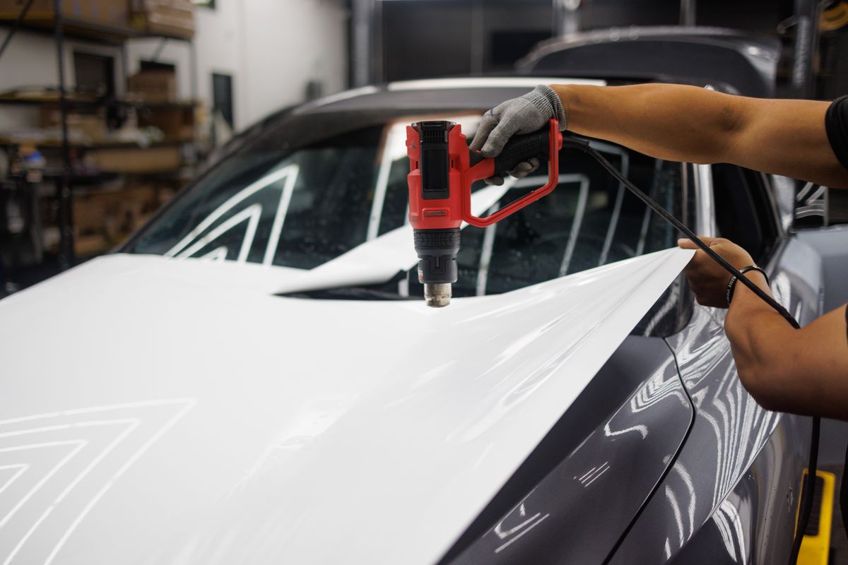 Window Decals & Tint example 6